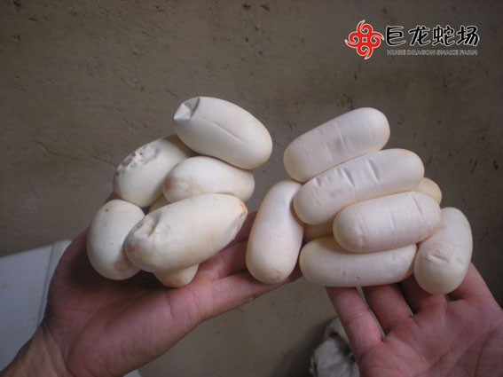 �������ߵ�,���\���ߵ�,�ߵ��r��