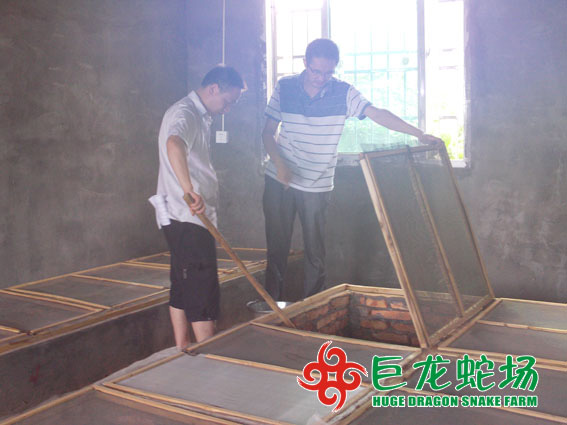 養蛇技術培訓,養蛇技術學習
