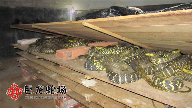 �����ߣ����\�ߣ��Bֳ