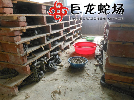 ���όW�T�������ތ��B������