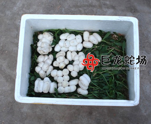 �ߵ��İ��b�c�\ݔ