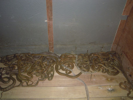 ���\�ߣ������ߣ�������B(y��ng)