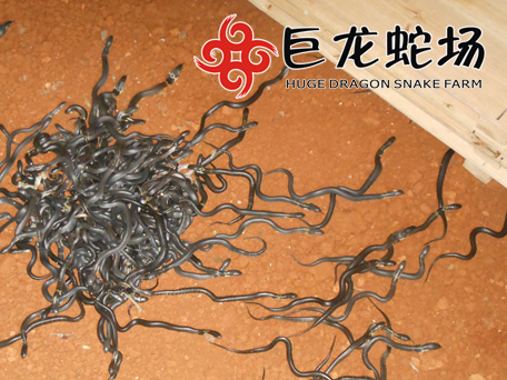 ���R��������B(y��ng)