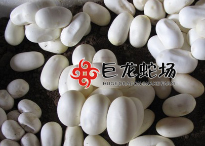 ���R�ߵ�,���R�ߵ��r��