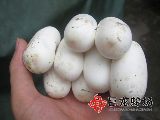 �������ߵ�,���\���ߵ�,�ߵ��r��