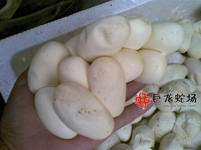 �������ߵ�,���\���ߵ�,�ߵ��r��