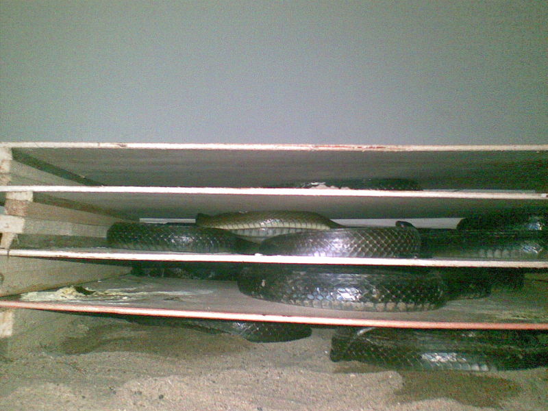 �����ߵļӹ�����