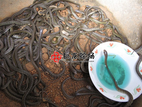 ˮ��������