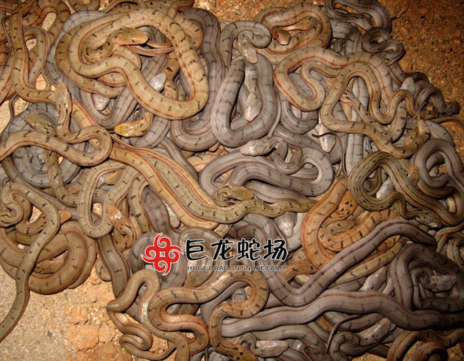 �ؼ������ߣ����\�ߣ�����